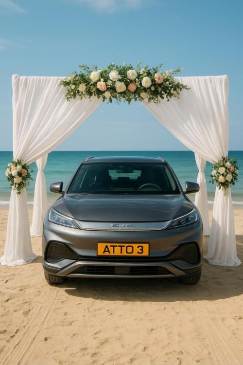 בי.ווי.די ATTO 3
