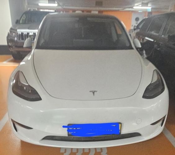 טסלה Model Y
