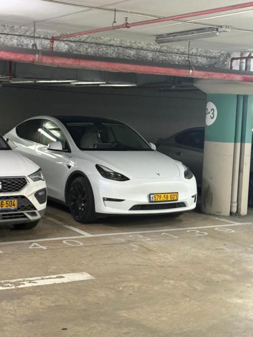 טסלה Model Y